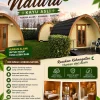 Rumah Lumbung Natura Kayu Asli
